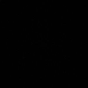 Meet your Posher, Imani